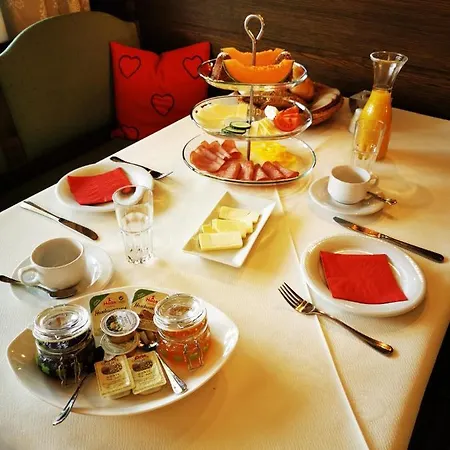 Guest house Sportpension Thayer 3*