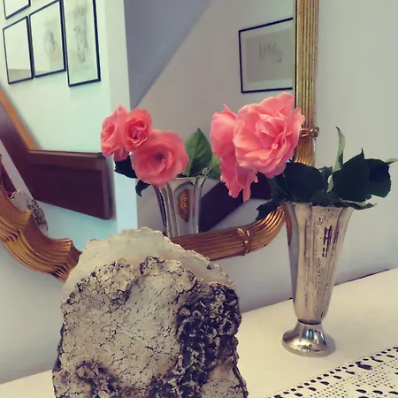 Sportpension Thayer Guest house 3*