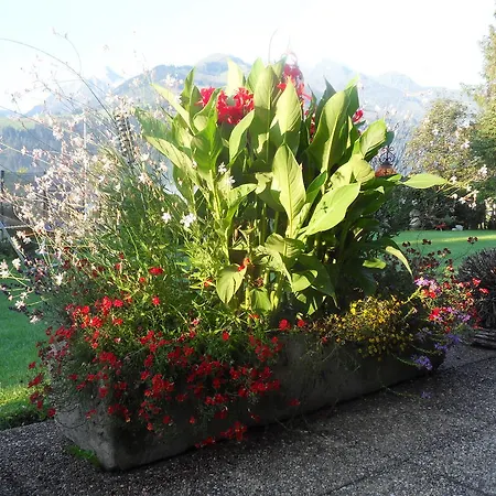 Sportpension Thayer Guest house