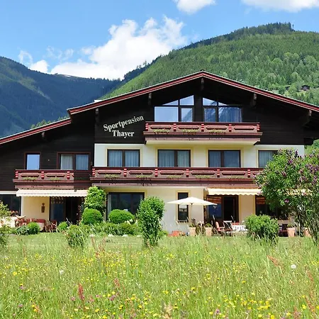 Guest house Sportpension Thayer 3*