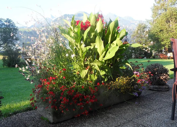 Sportpension Thayer Pensionat